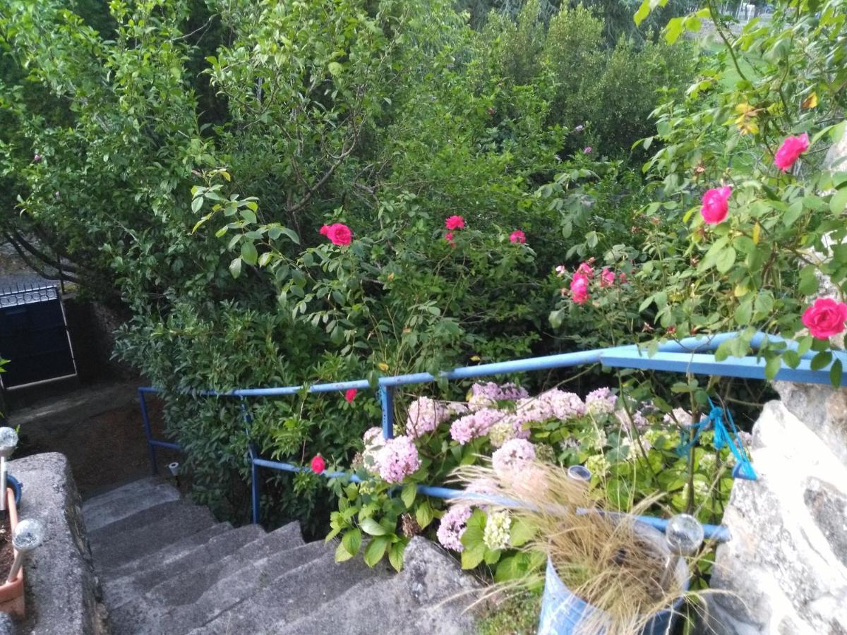 Maison De Village Ardechoise A Les Vans Εξωτερικό φωτογραφία